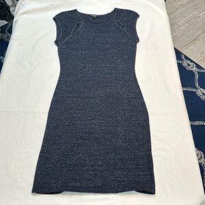 Express form fitting Navy Shimmer Dress Size S